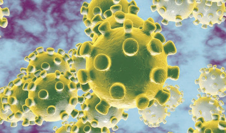 VIRUS ART
